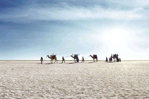 Rann of Kutch - السياحة في الهند 2019