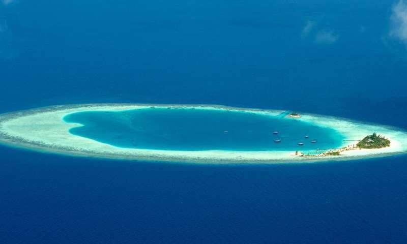 معلومات مدهشة عن جزر المالديف