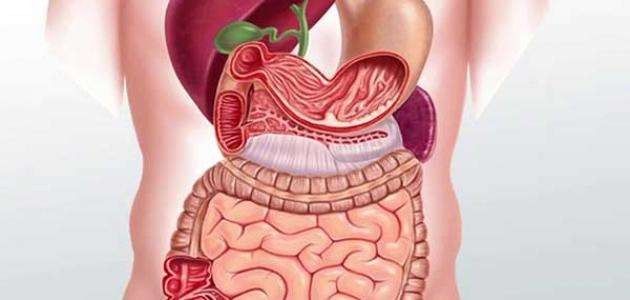 مشاكل المعدة .. إليك مجموعة من المشاكل التى تواجه المعدة ..