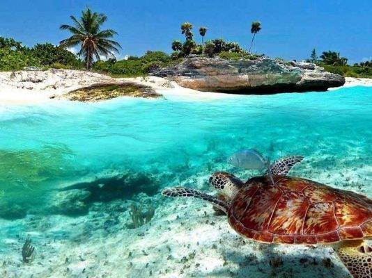 جزر زنجبار - السياحة في تنزانيا 2019