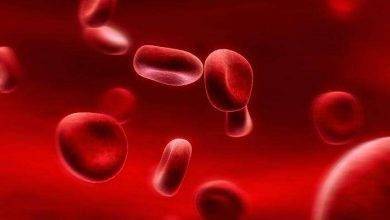 عدد صفائح الدم الطبيعية