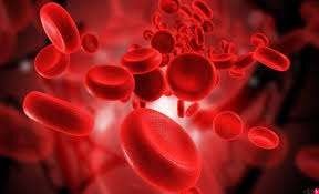ما هي أسباب البكتيريا في الدم