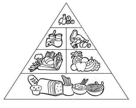 هل تعلم بعض المعلومات القيمة عن الهرم الغذائي