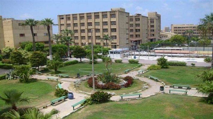 جامعة الإسكندرية