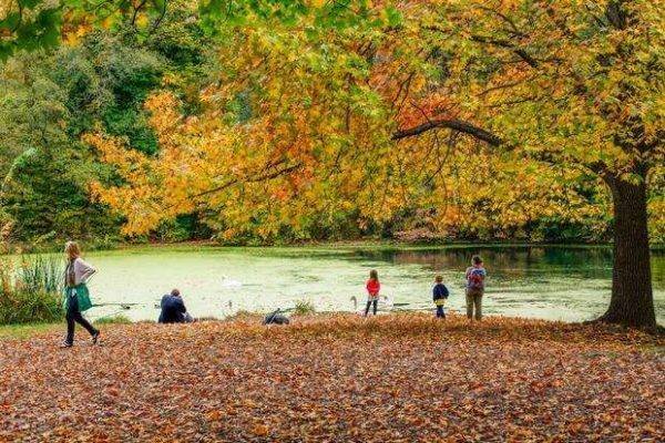 مراقبة الطيور في بروسبكت بارك ..