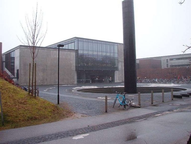 الجامعات في دولة الدنمارك