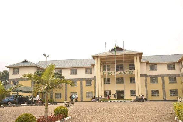 الجامعات في دولة رواندا