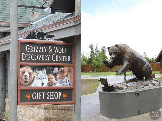 زيارة مركز الاستكشاف الدبب والذئاب