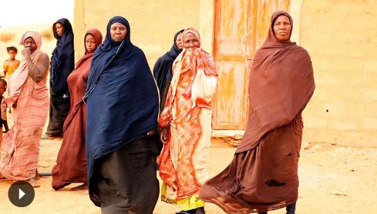 عدد سكان دولة موريتانيا