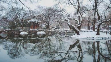 فصل الشتاء في كوريا الجنوبية