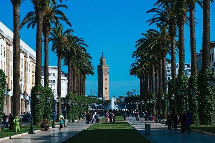 الجامعات في دولة المغرب 