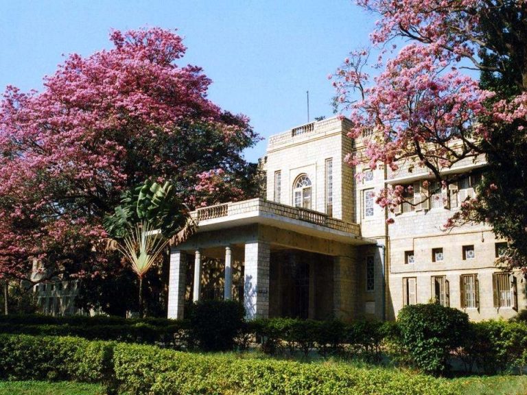 الجامعات في بنجلور