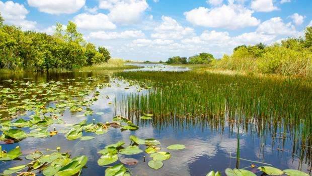 حديقة إيفرجليدز الوطنية Everglades National Park ..