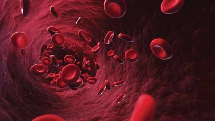 فقر الدم الناجم عن انخفاض أو خلل في إنتاج خلايا الدم الحمراء