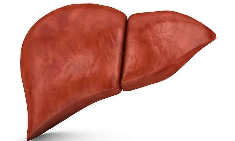 علاج لالتهاب الكبد الحاد B