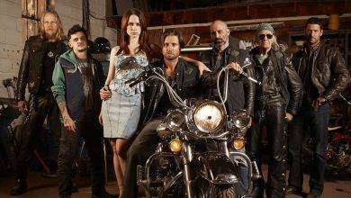 قصة مسلسل gangland undercover