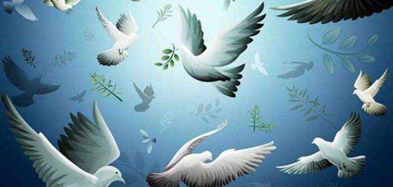 معنى السلام - مقال عن السلام