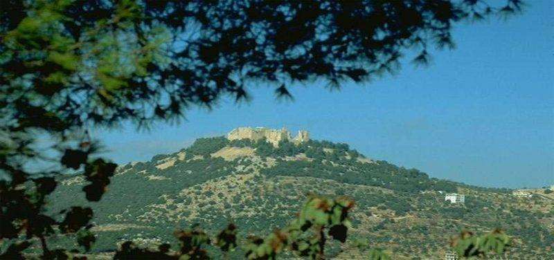 موقف السّكّان الأصليين من بناء قلعة عجلون