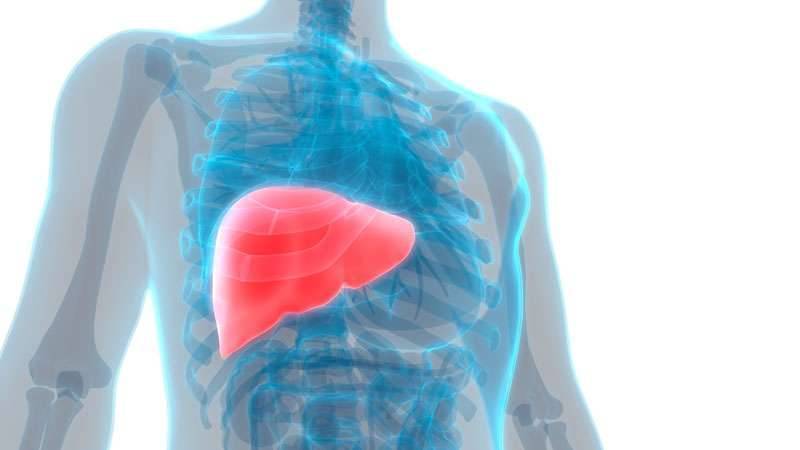 ما هي مسببات ارتفاع انزيمات الكبد؟