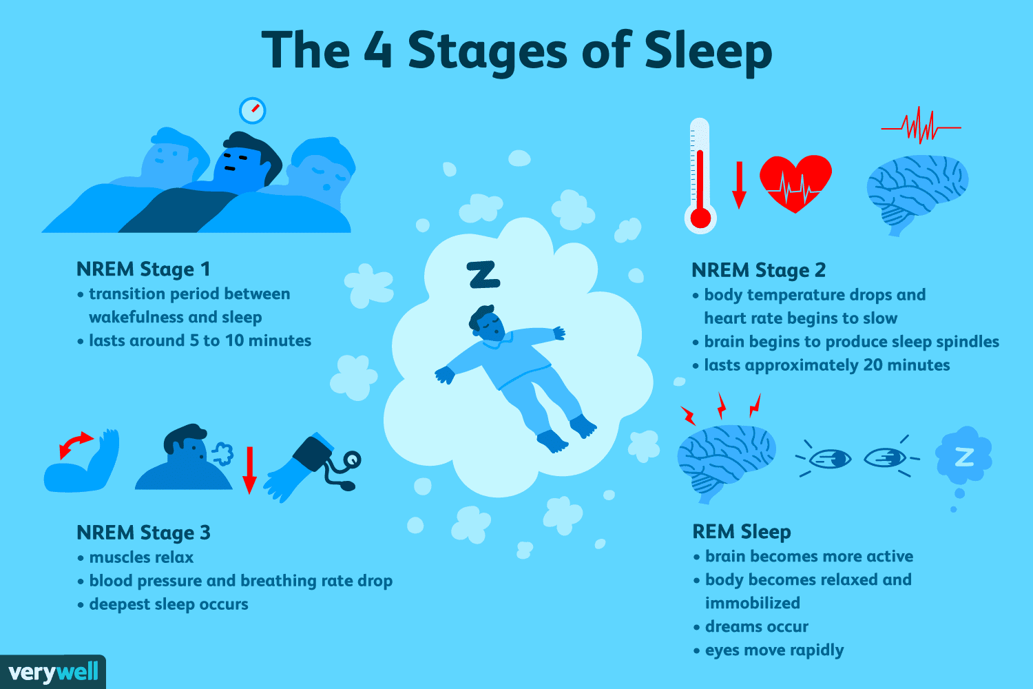 sleep-routines-and-the-sleepy-brain-discover-science-with-dr-bear