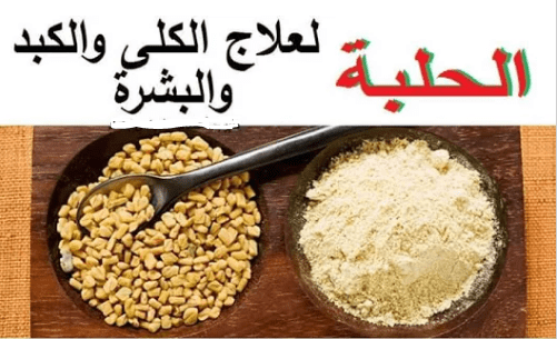 فوائد الحلبة للكلى