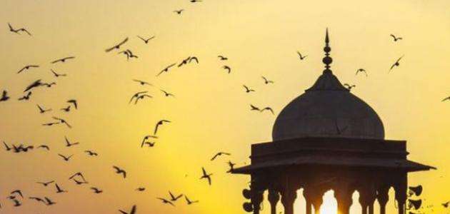 من هم الحنابلة 