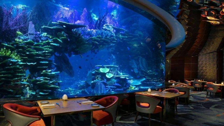 مطعم في دبي تحت الماء