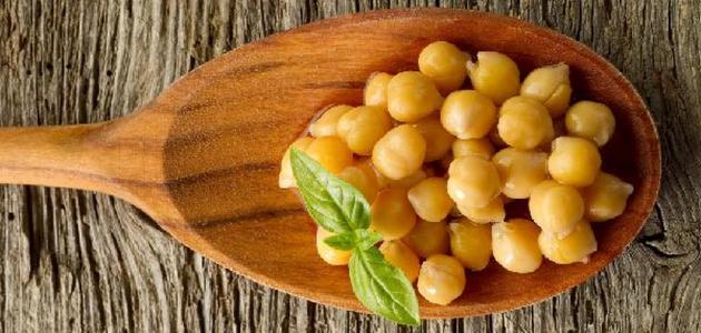 مصدر للبروتين 