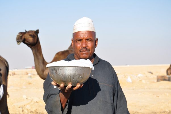 فوائد حليب الناقة للتوحد