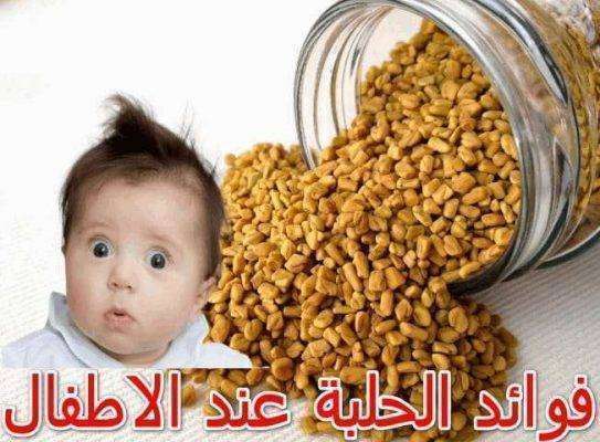 فوائد الحلبة للرضع