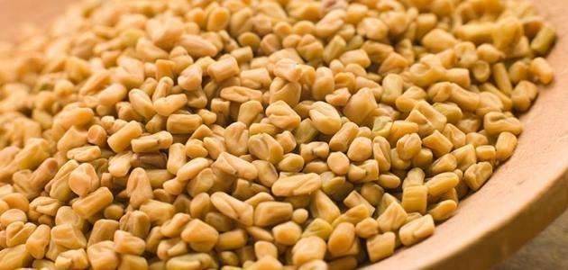 فوائد الحلبة المطحونة