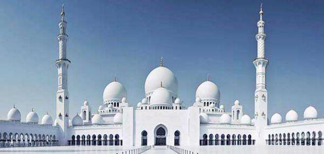 من هم الحنابلة