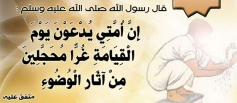 من هم الغر المحجلين