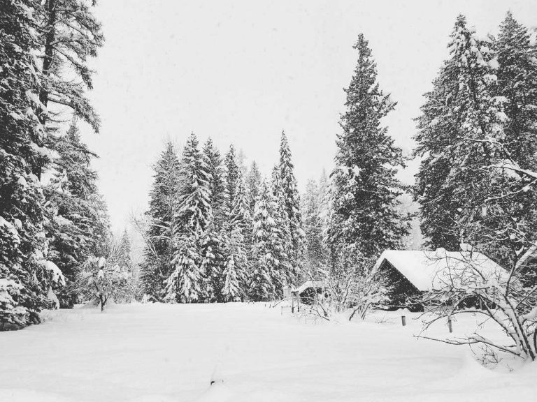 فصل الشتاء في ولاية مونتانا الأمريكية 