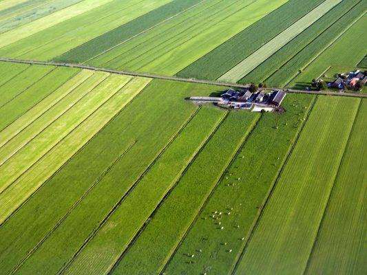 الزراعة في هولندا