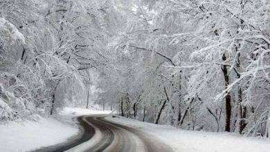 فصل الشتاء في ولاية ميشيغان الأمريكية