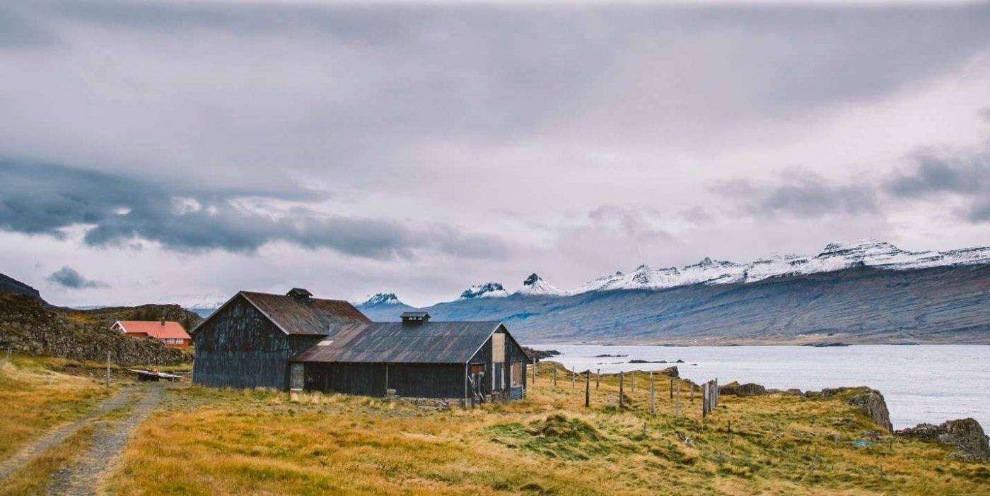 بماذا تشتهر أيسلندا في الزراعة