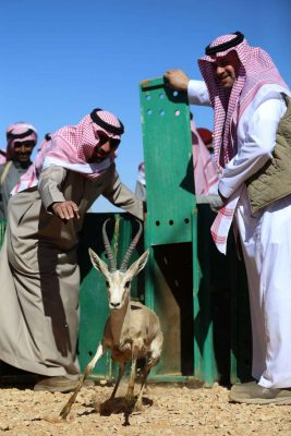 تاريخ تأسيس الهيئة السعودية للحياة الفطرية