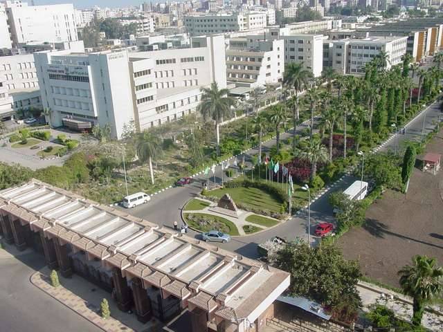 جامعات مصر وتخصصاتها 