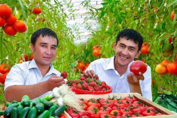 بماذا تشتهر أوزبكستان في الزراعة