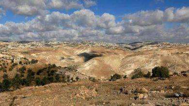 المناخ الصحراوي في فلسطين