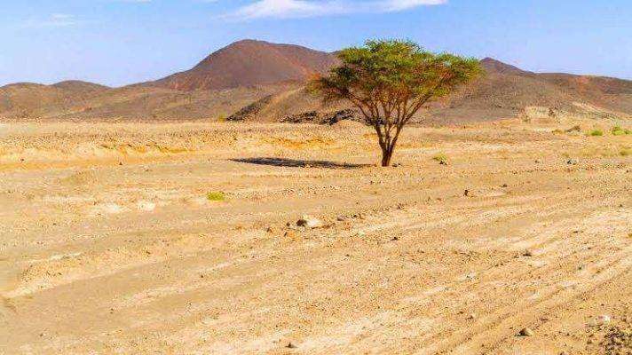 المناخ الصحراوي في السودان