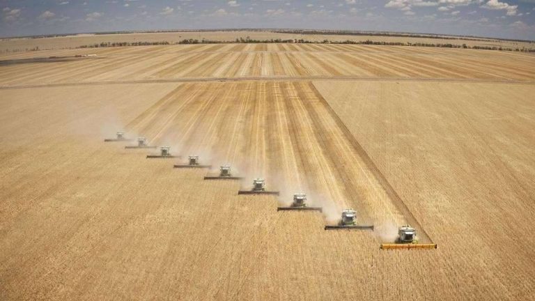 بماذا تشتهر أستراليا في الزراعة