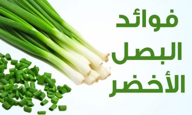 فوائد البصل الاخضر