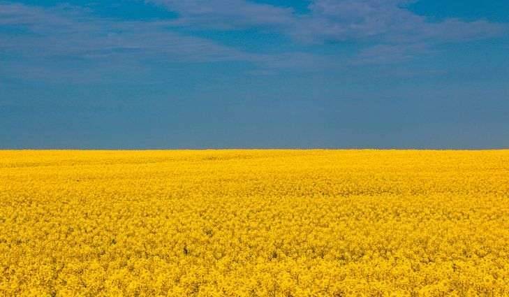 بماذا تشتهر أوكرانيا في الزراعة