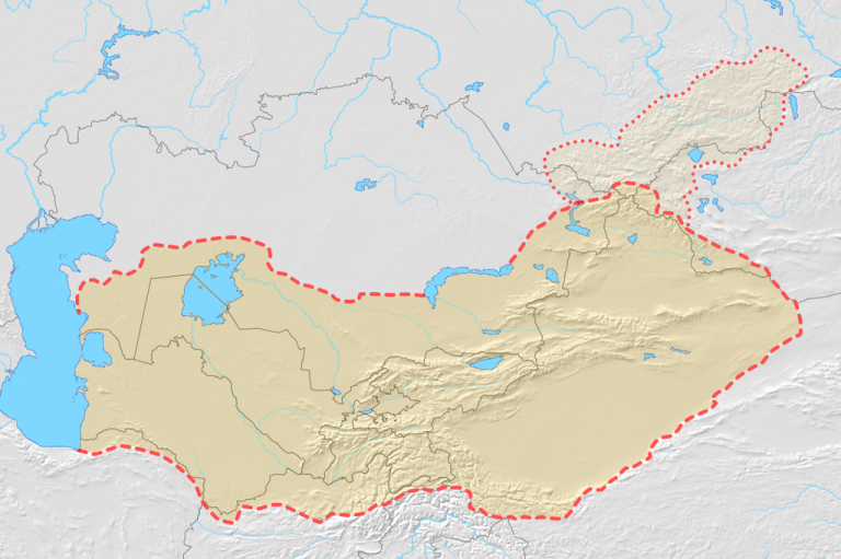 معلومات عن تركستان الغربية 