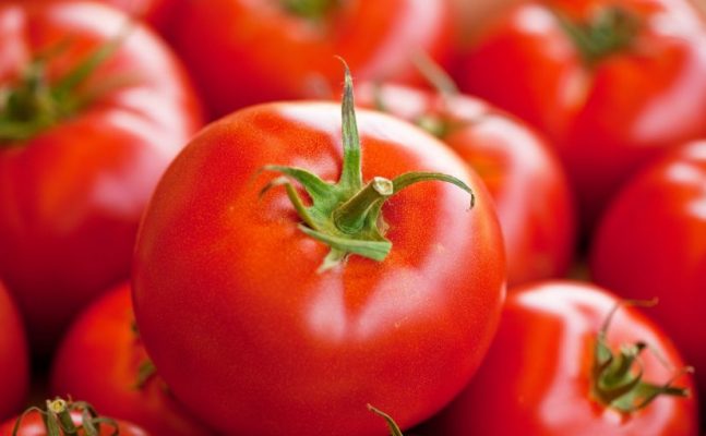 فوائد الطماطم للشعر