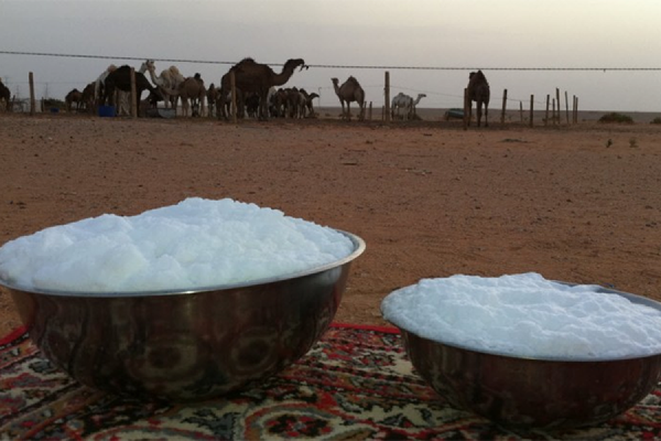 فوائد حليب الناقة للسرطان