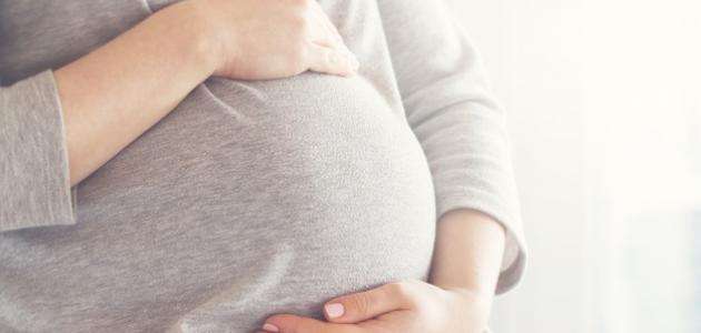 فوائد حبة البركة للحامل 