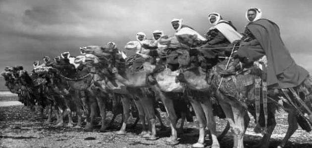 تاريخ الثورة العربية الكبري